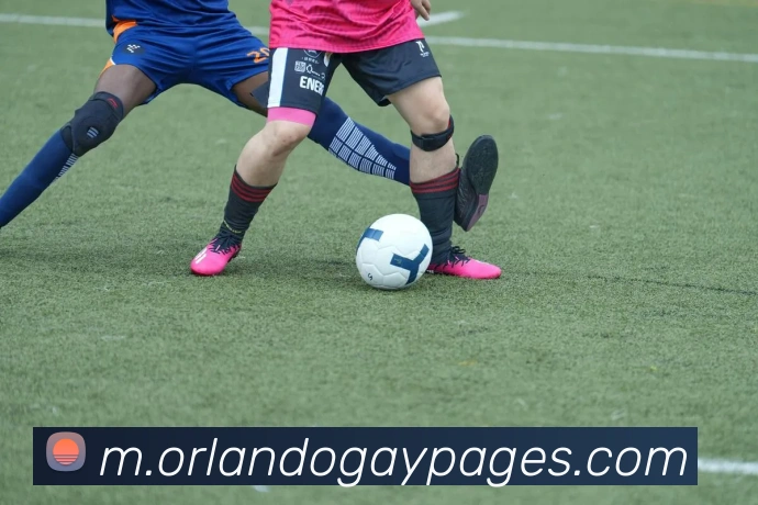 企业概况